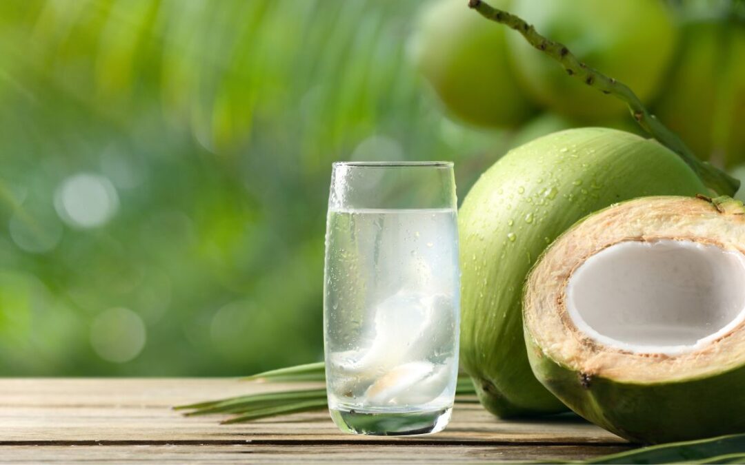 Antioxidantes da Bizi Água de Coco: combate ao envelhecimento e promoção da longevidade