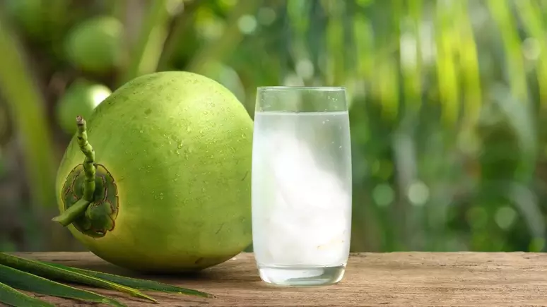 Bizi água de coco: ideal para começar o dia